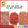 High Quality Shandong Long Peanut Kernels